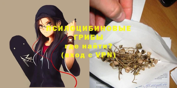 дживик Абинск