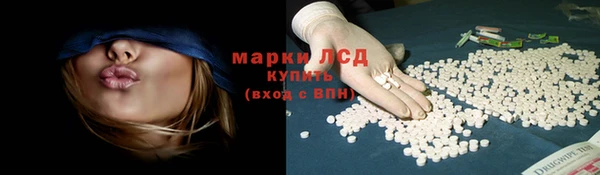 крисы Абаза