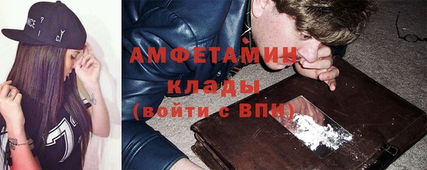 крисы Абаза