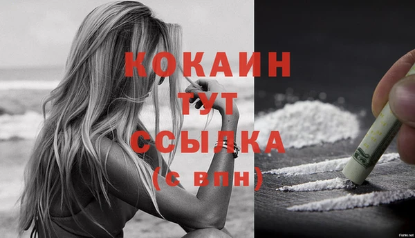 дживик Абинск