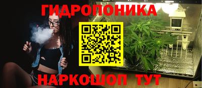 прущие крисы Свободный